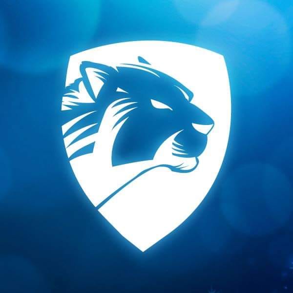 Professional Accountants And Tax Consultants